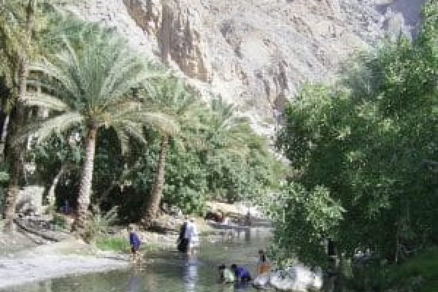 Classic Oman Tours