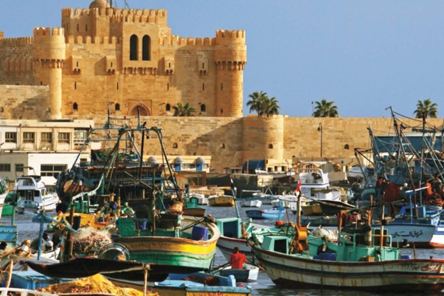 Visit the City of Alexandria , Catacombs ,the Pompy’s Pillar , the Roman Theatre , the Qitbay Castel from outside ,the Biblioteca Alexandrina and lunch