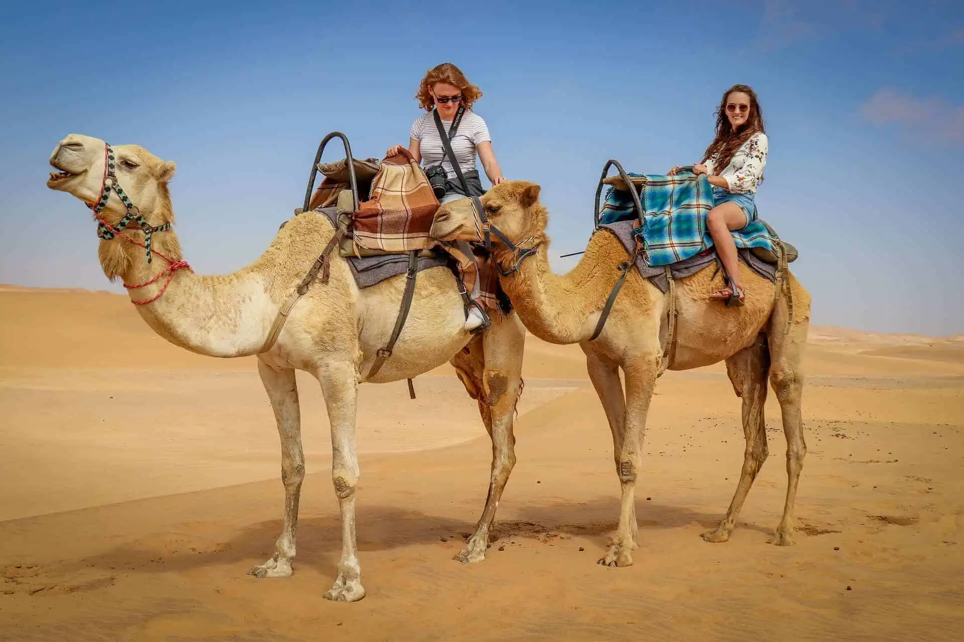 Camel G19F97285B 1920