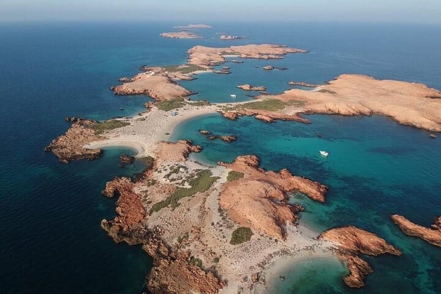 Dimaniyat Island , Natural Reserve  Every Monday , Wednesday & Saturday