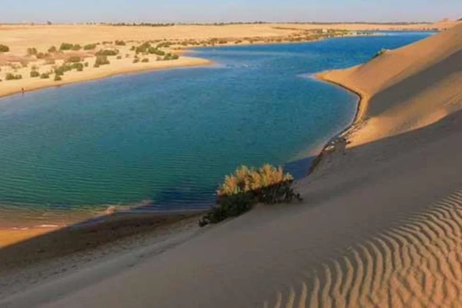 full day Fayoum ” Tunis Village – Qaroun lake – Wadi Al-Rayan- lunch