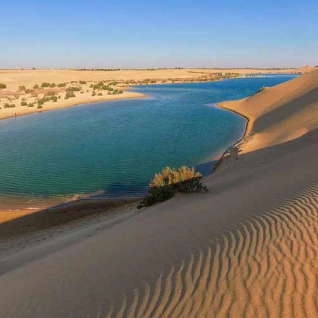 Fayoumm 1024X1024 1