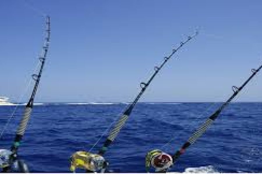 Game Fishing
