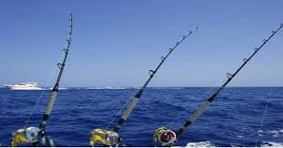 Images 19